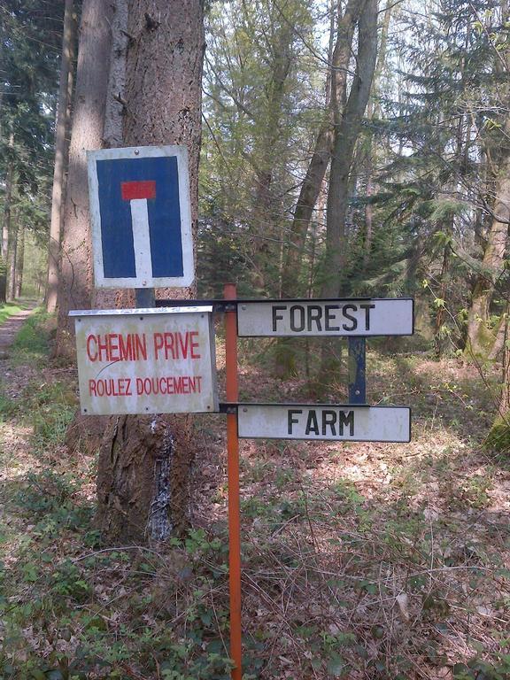 Forest Farm Bois-Jerome-Saint-Ouen Habitación foto