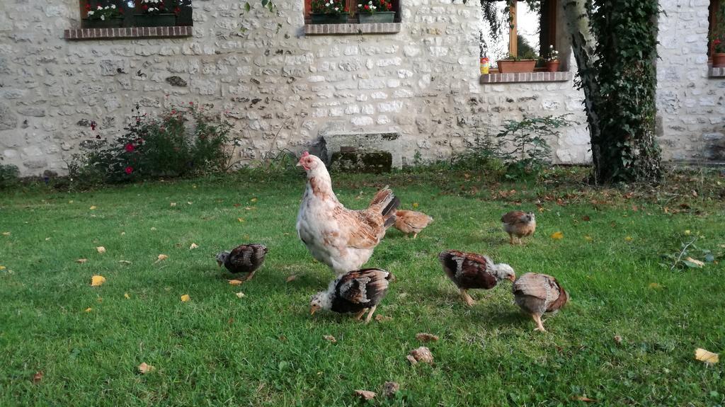 Forest Farm Bois-Jerome-Saint-Ouen Exterior foto