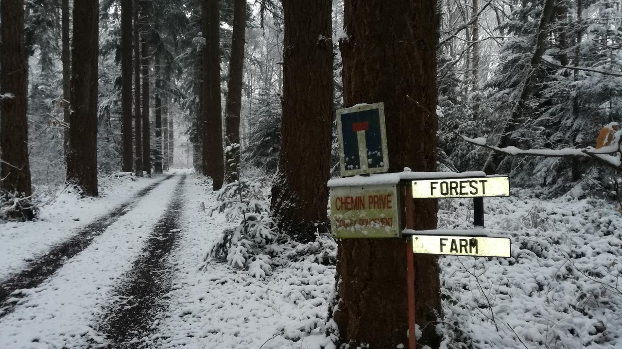 Forest Farm Bois-Jerome-Saint-Ouen Exterior foto